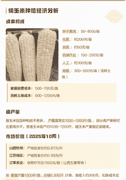 一亩承包玉米种植利润