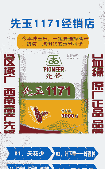 重庆适合种植的玉米种子