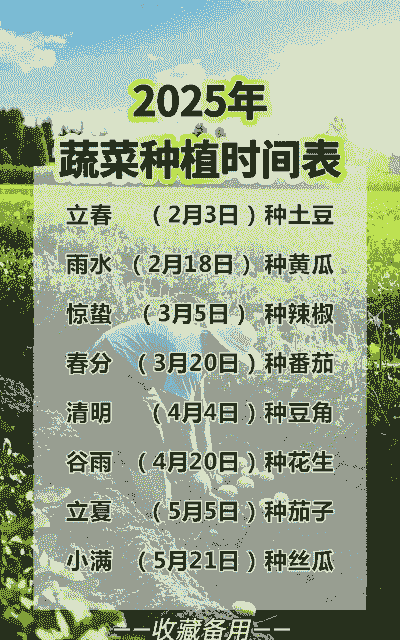 柿子和玉米种植时间表格