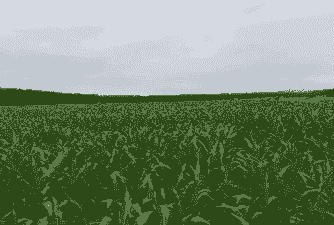 北京有米玉米种植吗最近