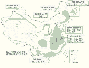 东北主产区玉米种植面积