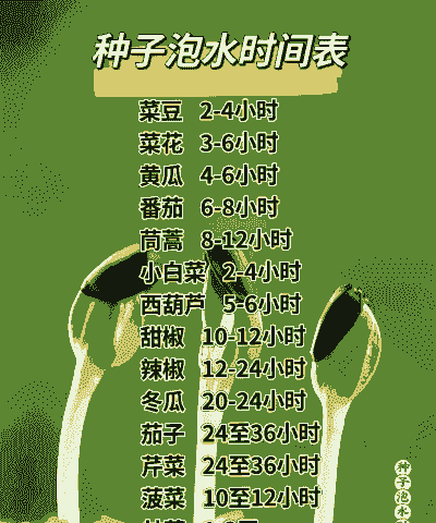 玉米种植前泡种子要多久