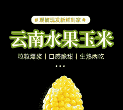 云南省甜玉米种植时间