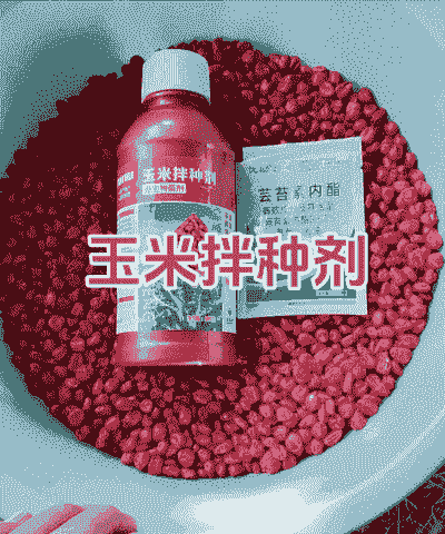 玉米种植用什么药拌种好
