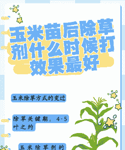 玉米种植什么时候用农药