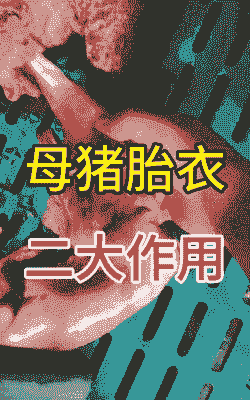 母猪产后可以喂胎衣吗