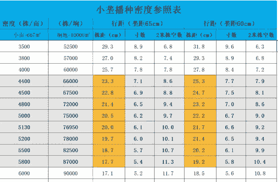 玉米种植密度多少比较好