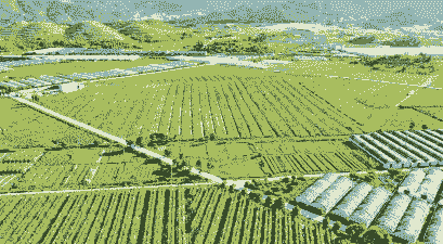 宁德玉米种植基地在那里