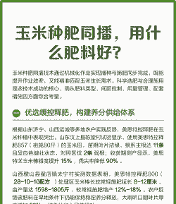 玉米种植后施几种肥好呢