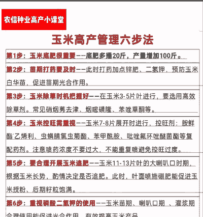 高产的玉米种子怎么种植