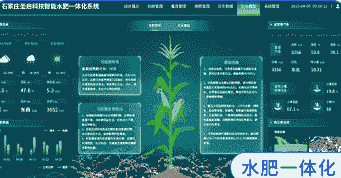 数字化玉米种植技术方案