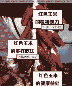 红玉米种子几月种植最佳