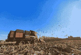 鞍山市的玉米种植面积