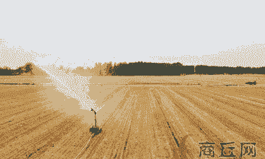 商丘玉米种植情况怎么样