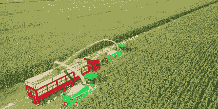 宁夏玉米种植亩数多少株
