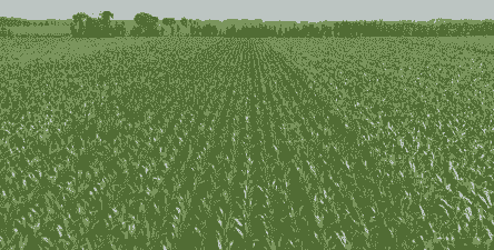 吉林省玉米种植都在哪