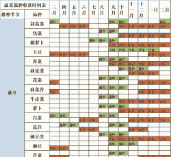 沧州秋玉米种植时间表格