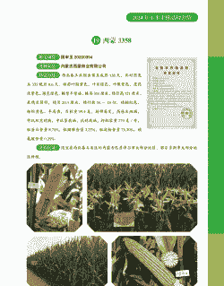 玉米种植研究人员名单
