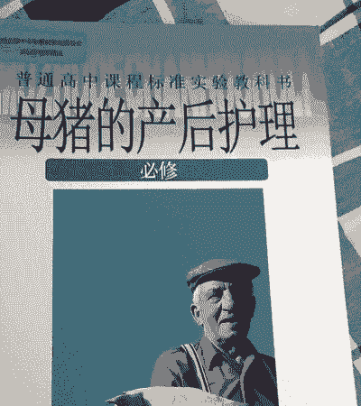 母猪产后护理哪个学校有