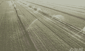 邢台任泽区玉米种植面积