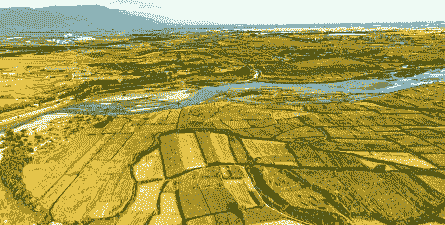 张掖基地玉米种植面积多少亩