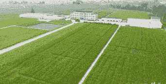 沧州南皮县玉米种植面积