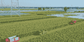 运城玉米种植示范区在哪