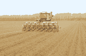 玉米种植前的准备工作