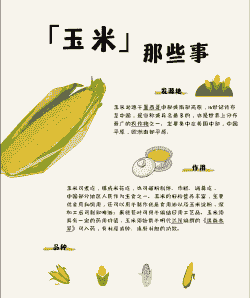 玉米种植行业特点是什么