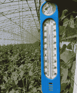 玉米种植气候温度是多少