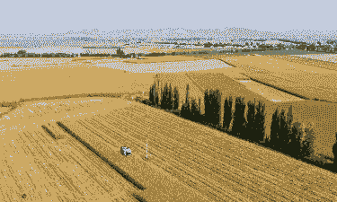 乌拉特前旗玉米种植面积