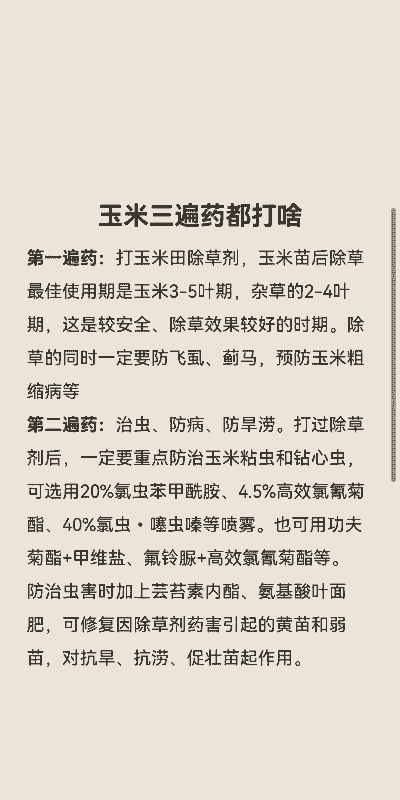 玉米种植后几天后打药好