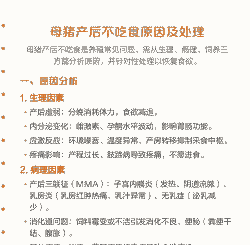 母猪生产后不食有妙招