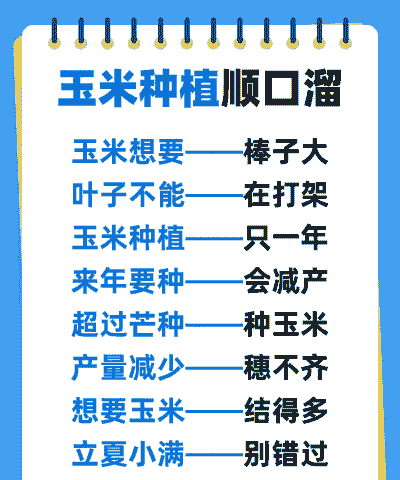 黑糯玉米种植谚语怎么说