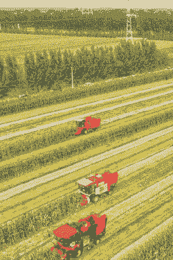 德国有没有玉米种植的地方