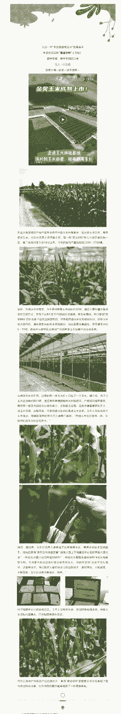 上海市玉米种植基地名录