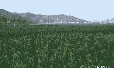 威宁县最好的玉米种植园