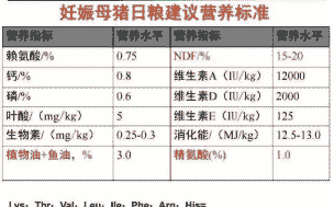 产后母猪饲喂什么营养
