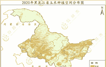 黑龙江大庆玉米种植面积多少