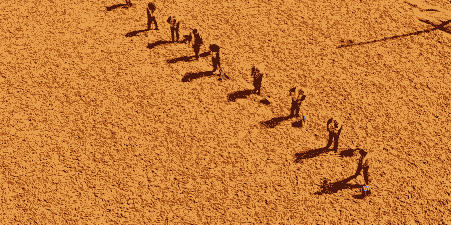 玉米种子种植之前用晒吗