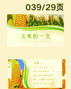 玉米种植技术广告宣传语