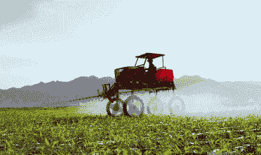 西北地区的玉米种植技术