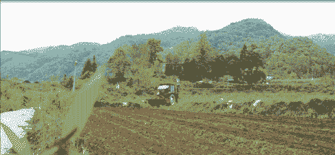 贵州三都县玉米种植面积