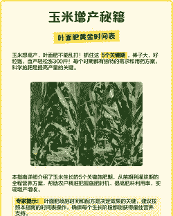 玉米种植多久打叶面肥好