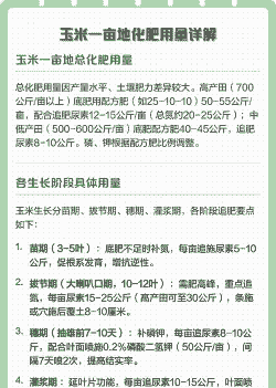玉米种植一亩施多少肥料