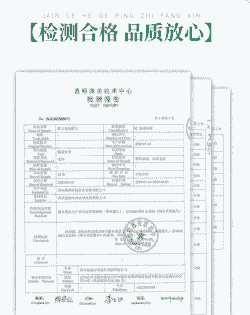 玉米种植检查报告书模板