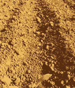 玉米种植挖多深的土合适