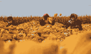 黑龙江省玉米种植季节