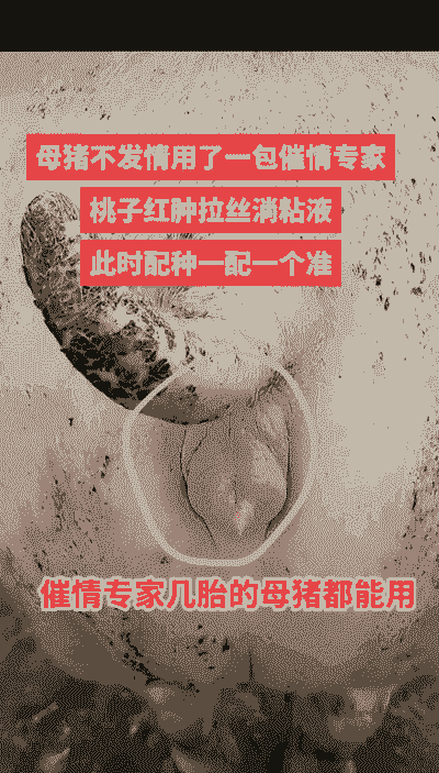 后备母猪产后多久能打虫