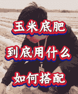 玉米种植的时候需要施底肥吗